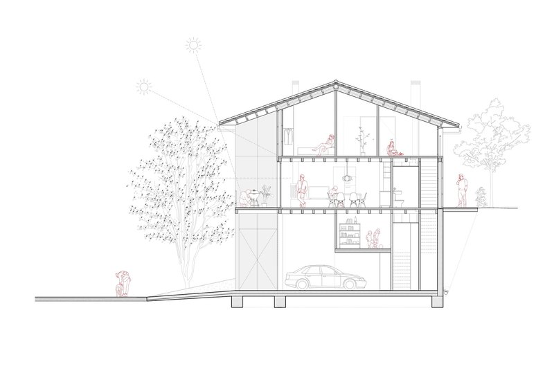 Section drawing revealing three-story interior spaces with pitched roof and adjacent tree
