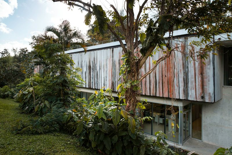 Weathered vertical timber cladding on elevated volume surrounded by palms and dense tropical vegetation