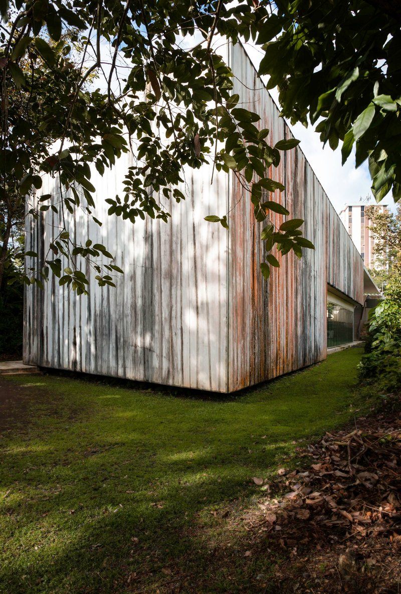 Weathered vertical timber cladding on exterior wall beneath overhanging tree branches