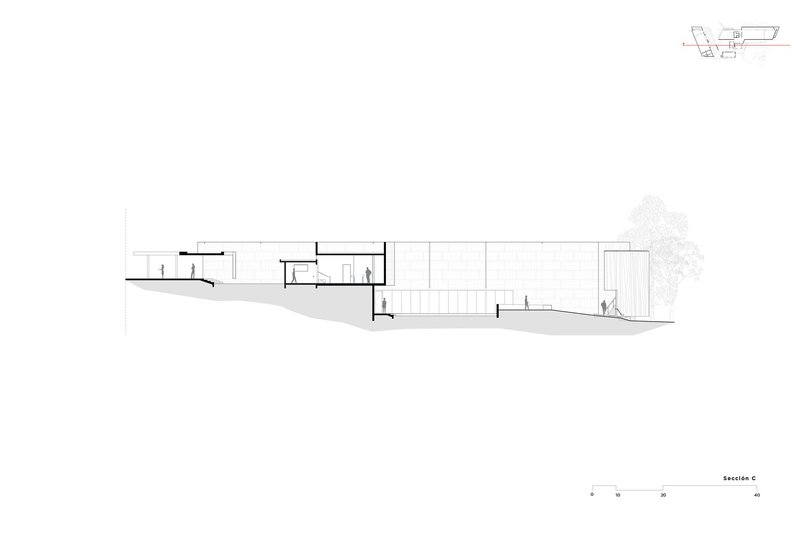 Section drawing illustrating interior spaces descending the terrain with a tree visible at right