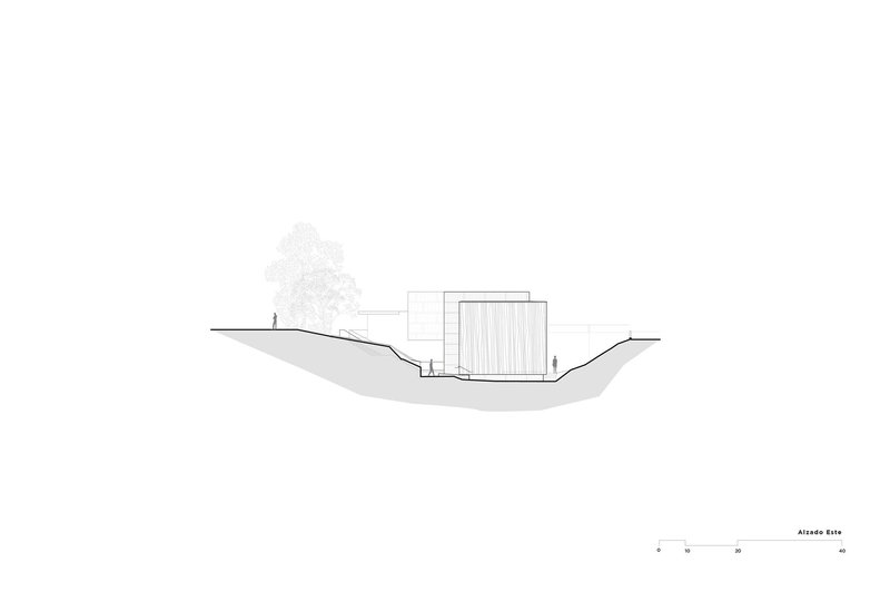 Section drawing showing a structure nestled into sloping terrain with a tree at one side