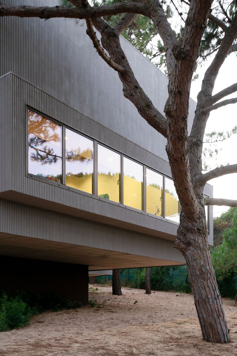 Cantilevered volume with glazed upper facade supported by timber beam beneath gnarled tree branches