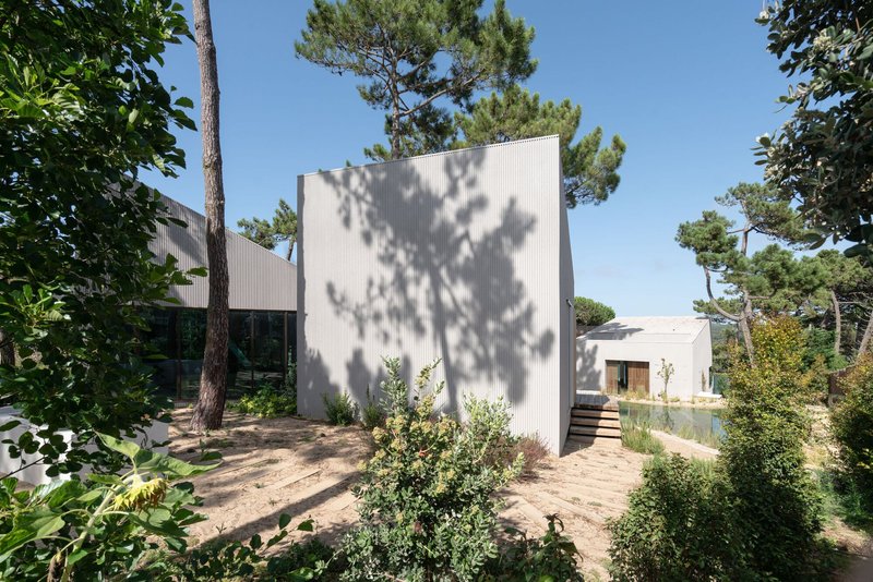 White corrugated metal volumes among pine trees with tree shadows falling across the facades