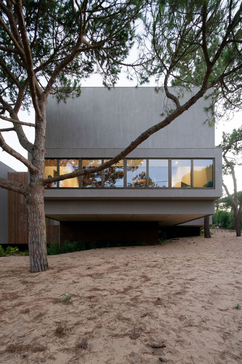 Elevated glazed volume on concrete base with corrugated metal upper level framed by pine branches