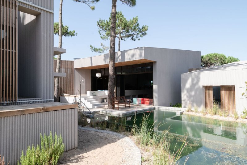 Stepped terrace and pool deck between corrugated metal volumes and pine trees under afternoon sun