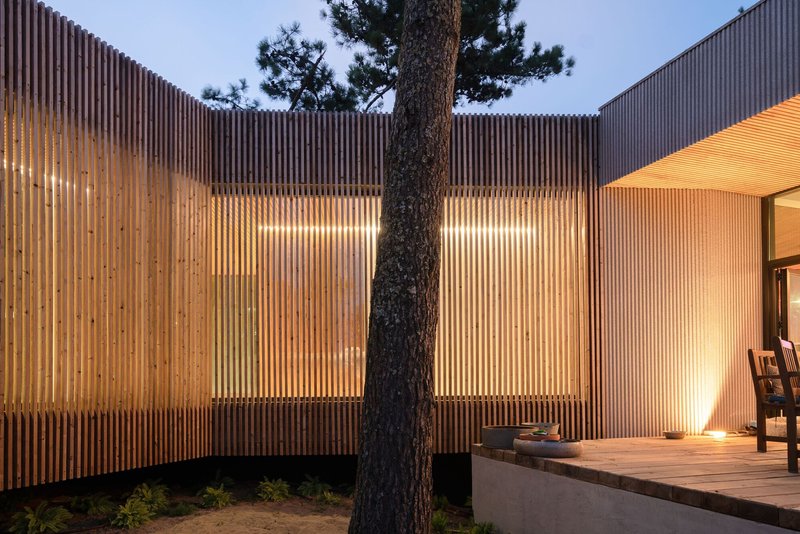 Backlit vertical timber slat screen wrapping courtyard corner with pine trunk at dusk