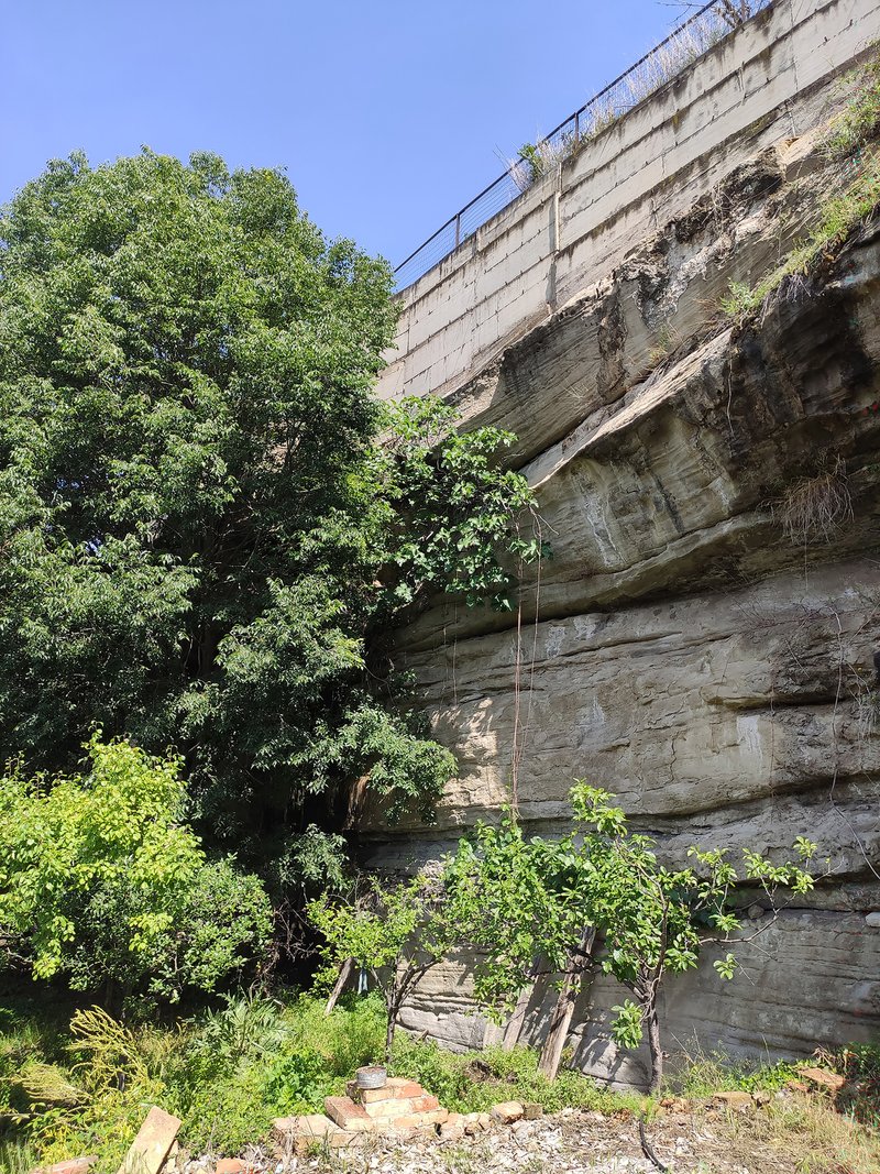 Layered sandstone cliff face with concrete retaining wall above and vegetation filling the lower ravine