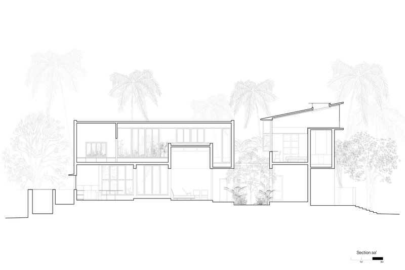 Section drawing revealing staggered roof heights and interior spaces with palm trees in the background