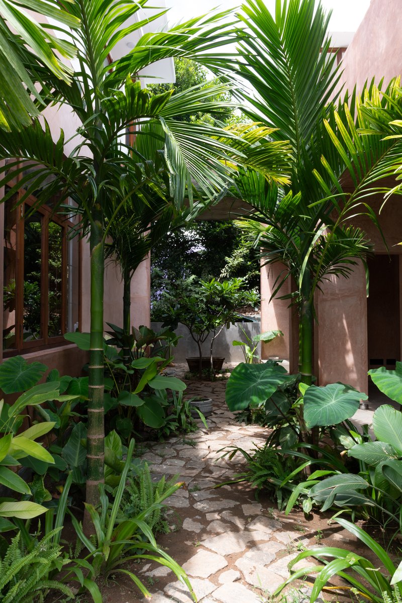 Courtyard with stone paving and dense palms between pink plastered walls in dappled sunlight