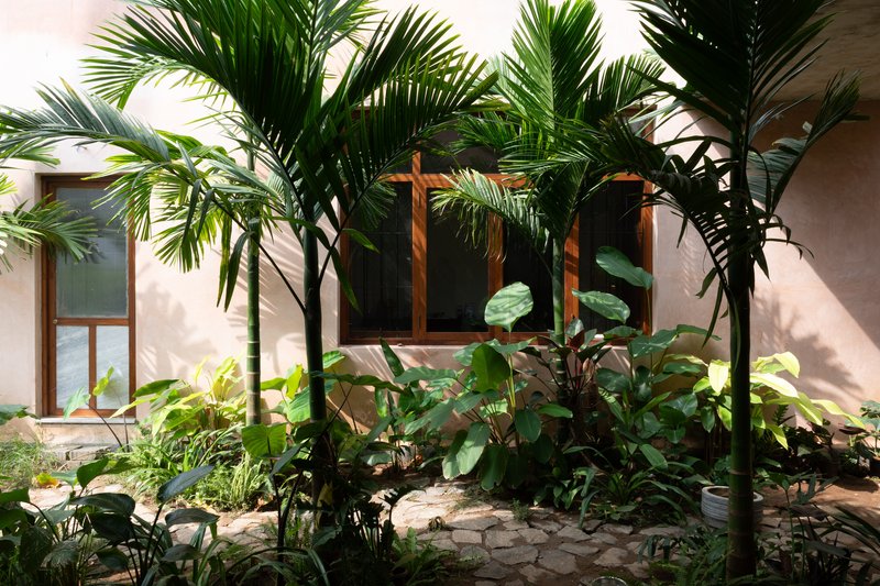 Timber framed window opening behind a planted bed of palms and broad-leaved tropicals