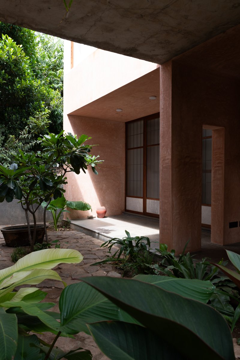 Courtyard corner with potted frangipani, gridded door, and broad-leafed ground plants beneath a plaster soffit