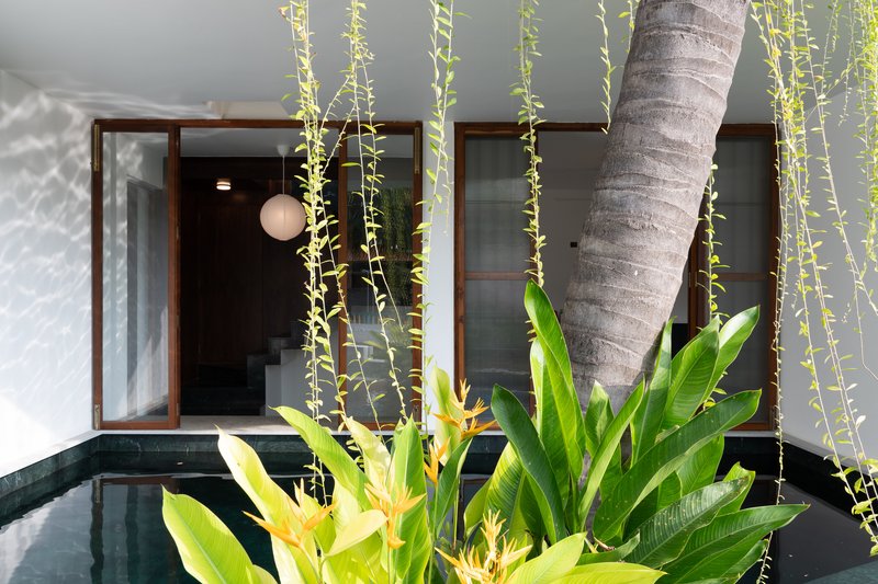 Courtyard pool with dark granite edge bordered by bird-of-paradise and cascading vines