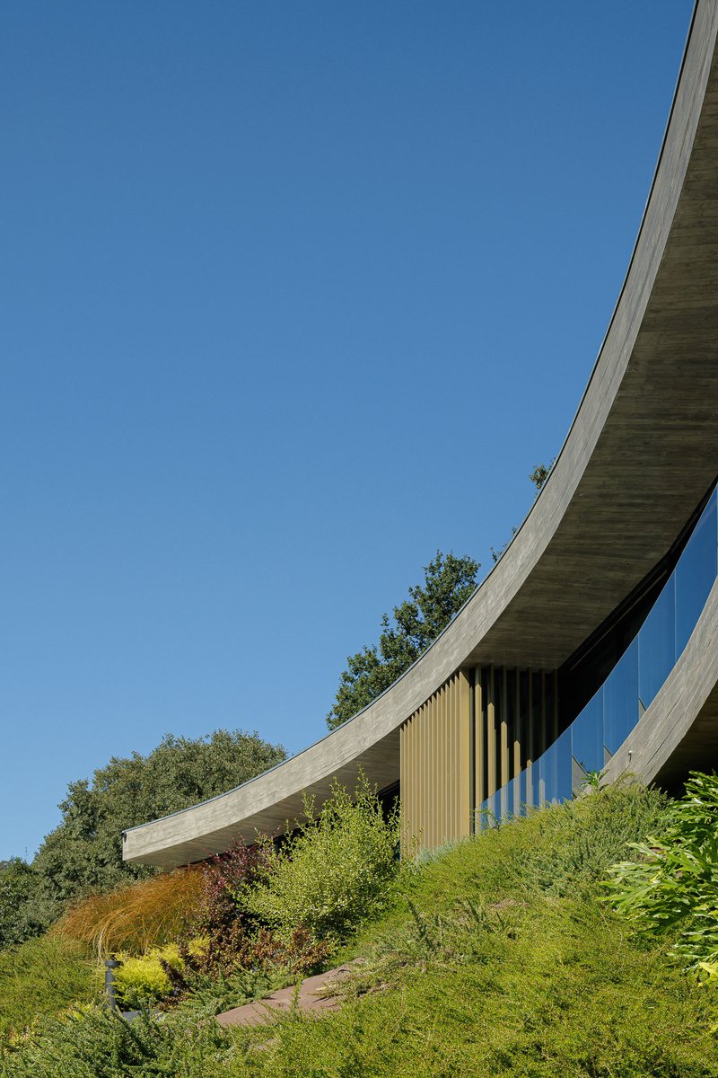 MUTANT Architecture Bends a Concrete Slab into a Hillside Embrace at Casa De Bouro