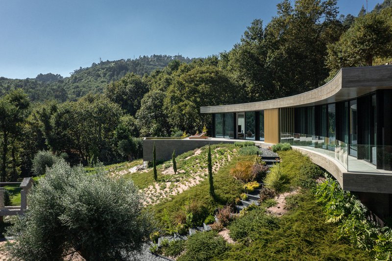 Curved glazed facade set into terraced landscape with olive trees and forested hillside beyond