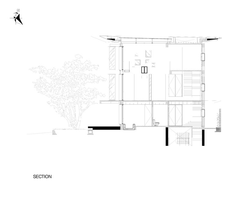 Section drawing showing interior spaces with a tree on the left and overhanging roof detail