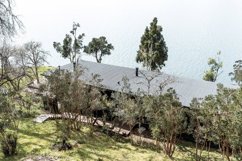 Aerial view of corrugated metal roof nestled among trees on a grassy slope above the lake