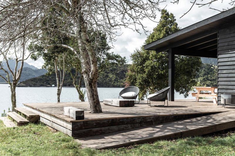 Raised timber terrace with integrated planters and a tree trunk penetrating the deck boards