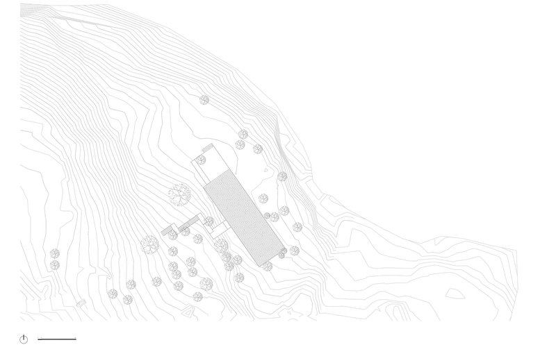 Site plan drawing showing a linear volume on sloped topography with contour lines and scattered trees