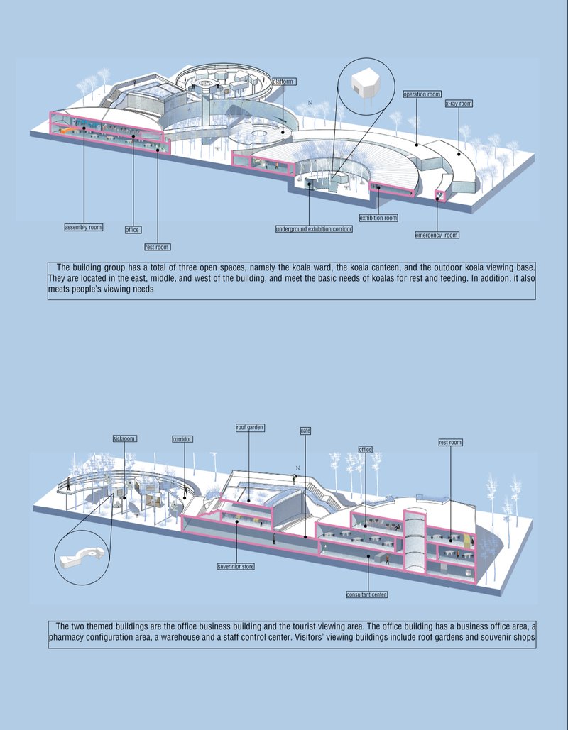Circular rehabilitation spaces merge healthcare, ecology, and public engagement within a wildlife-centered architectural environment.