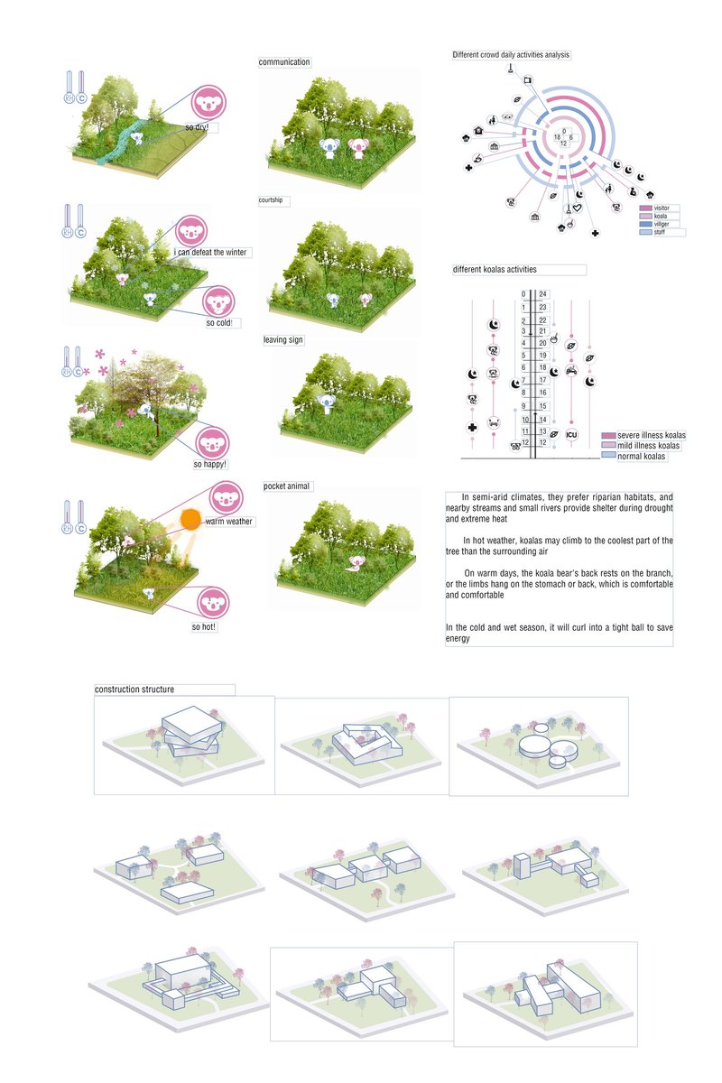 Behavioral analysis diagrams explore how architecture responds to koala movement, climate adaptation, and habitat interaction.