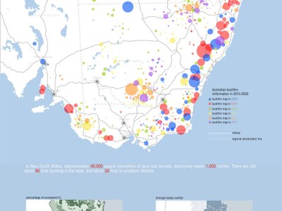 Koalas Heaven: Biophilic Architecture for Wildlife Rehabilitation and Ecological Conservation