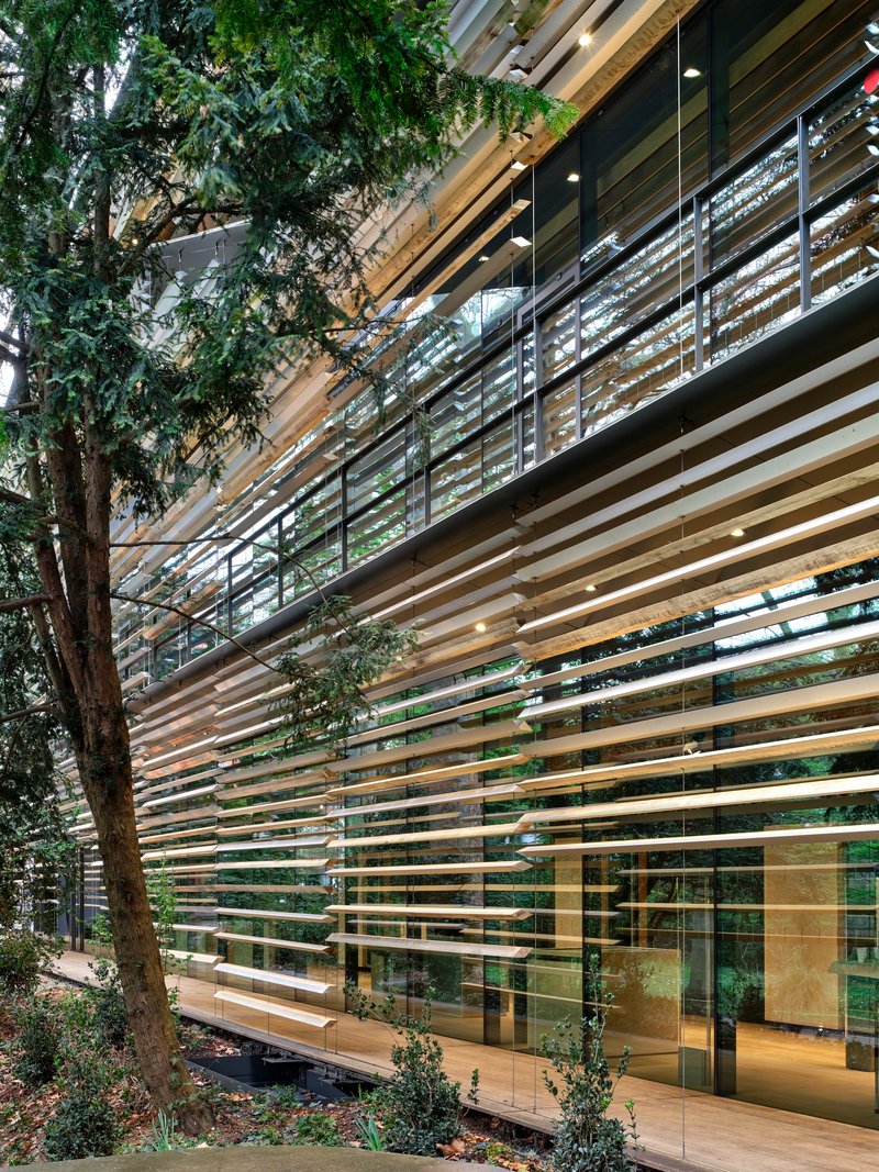 Close-up of the timber and glass louver facade layered against the glazed interior walls