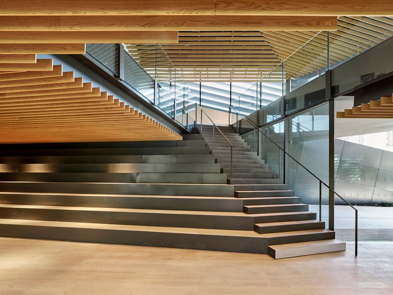 Wide timber and concrete staircase with glass balustrade and exposed wood ceiling above