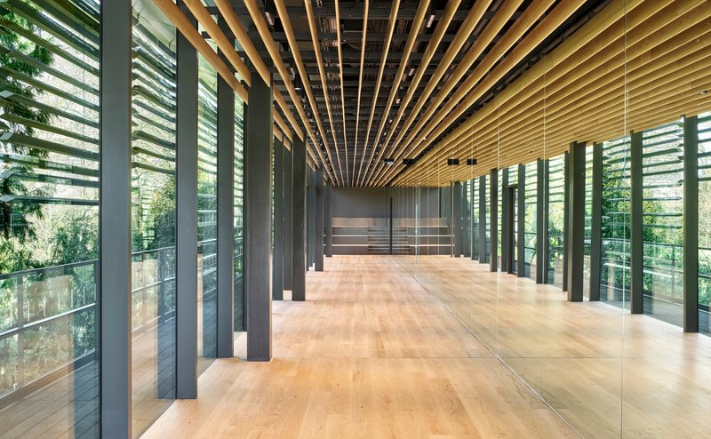 Corridor with oak flooring and rhythmic timber battens spanning the ceiling between glazed walls