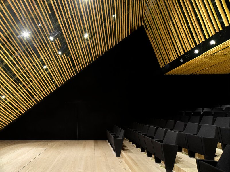 Auditorium with rows of dark seating facing a black angled wall beneath a timber slatted ceiling