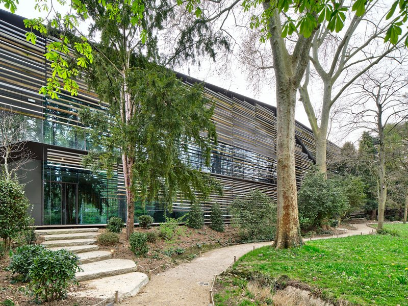 Garden path leading to the horizontal banded facade screened by deciduous trees in spring