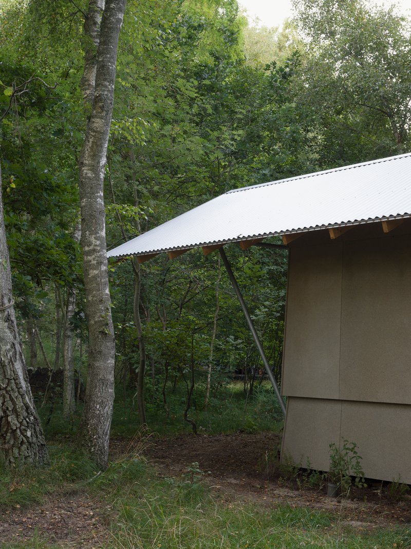 Angled roof support struts beneath the corrugated overhang in the wooded grove