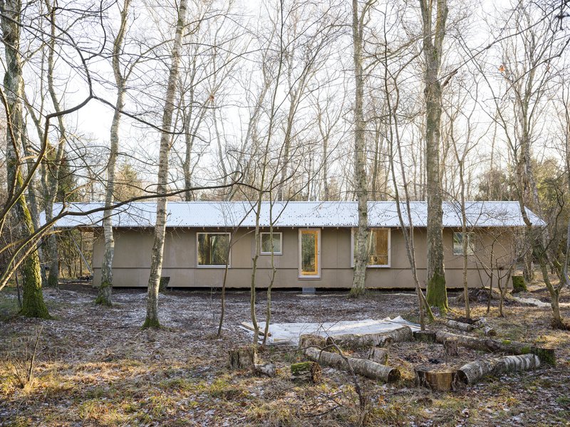 Long elevation through bare birch trunks showing window rhythm along the facade