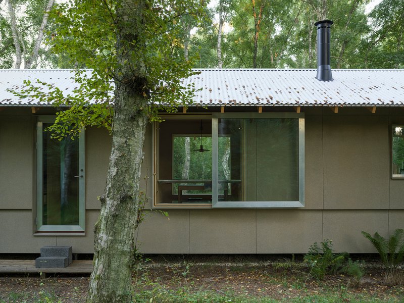 Exterior wall with projecting bay window and glazed door beside a birch tree trunk