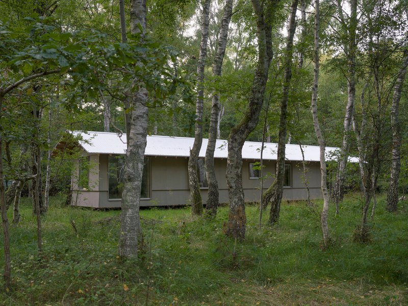 Long elevation of the cabin with corrugated metal roof nestled among birch and maple trees