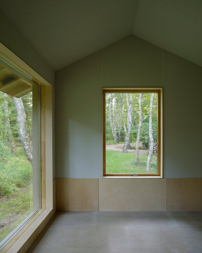 Interior room with green plaster walls, vaulted ceiling, and a framed window overlooking birch trees