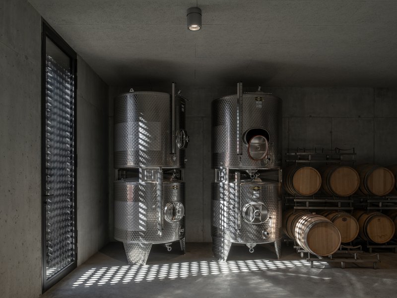 Stainless steel fermentation tanks and oak barrels in a concrete winery room with dappled light