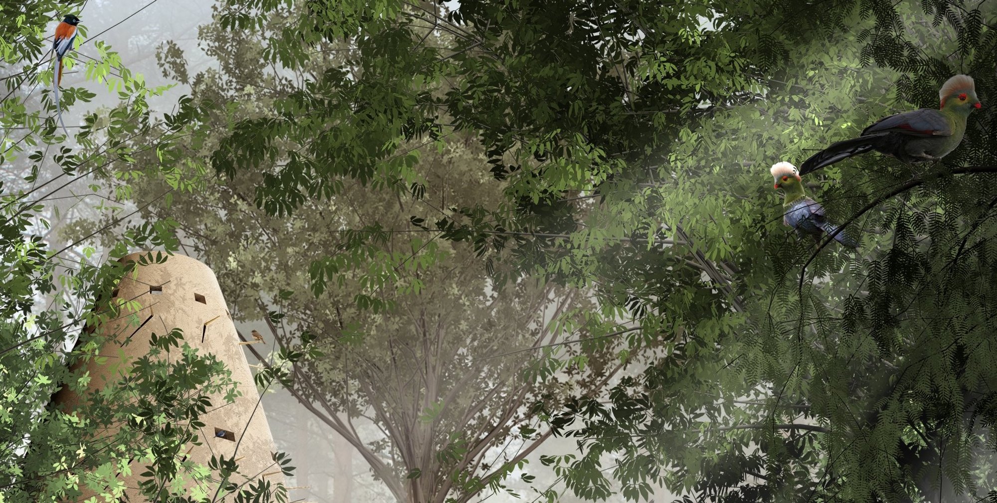 Silva Loop: Sustainable Landscape Architecture Rebuilding Ethiopia’s Forest Ecosystems