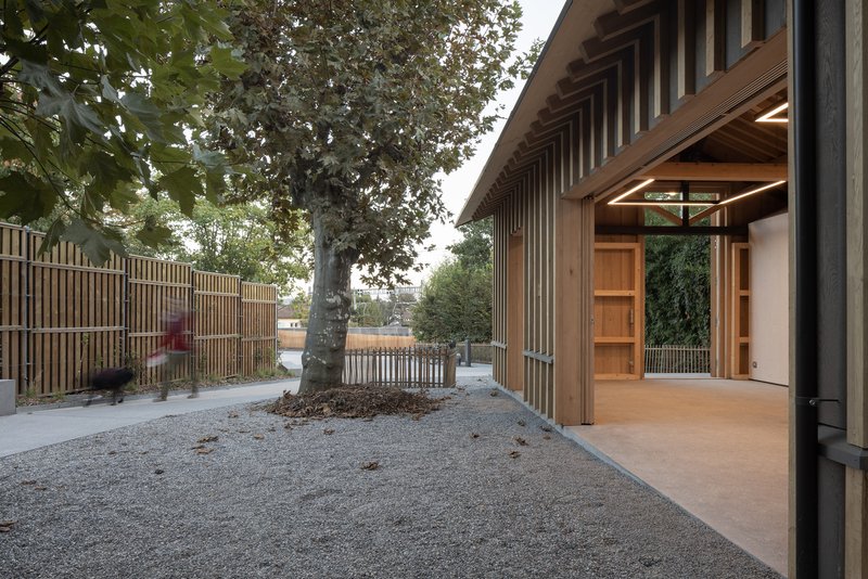 Gravel courtyard with a preserved tree framed by the timber-clad entrance and slatted fence