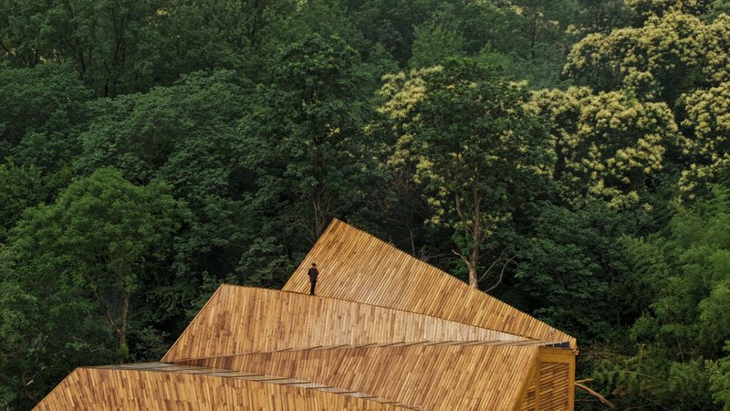 Close view of layered timber shingle roofscape against dense forest canopy in spring
