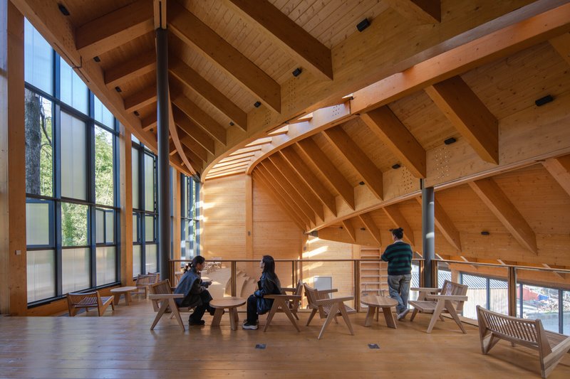 Split-level timber interior with glazed curtain wall admitting daylight from the surrounding trees