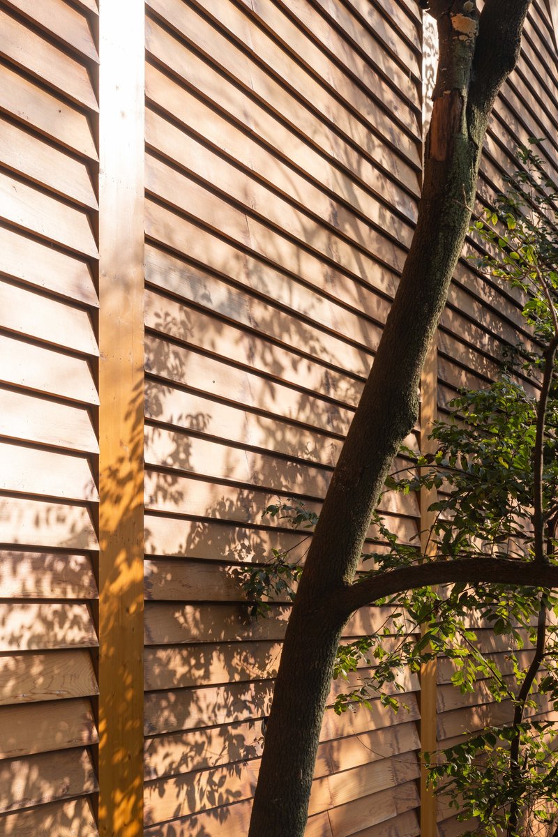 Horizontal wood siding with dappled tree shadows cast by afternoon sunlight
