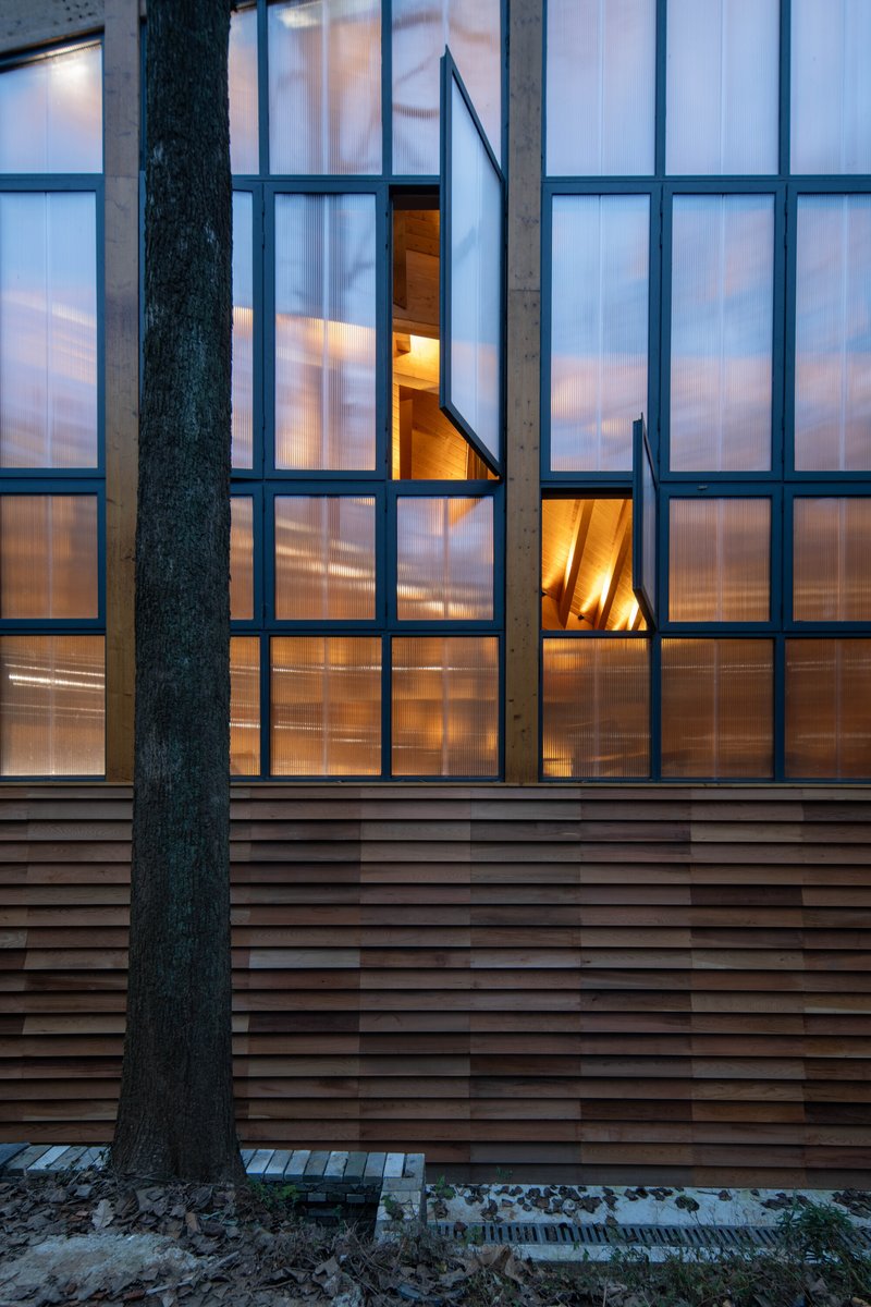 Glass curtain wall with dark metal framing beside a tree trunk at twilight