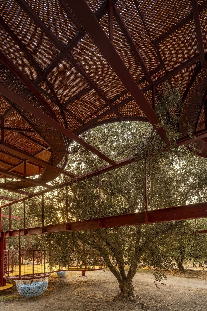 Underside view of the perforated metal ceiling panels and structural beams with an olive tree growing through