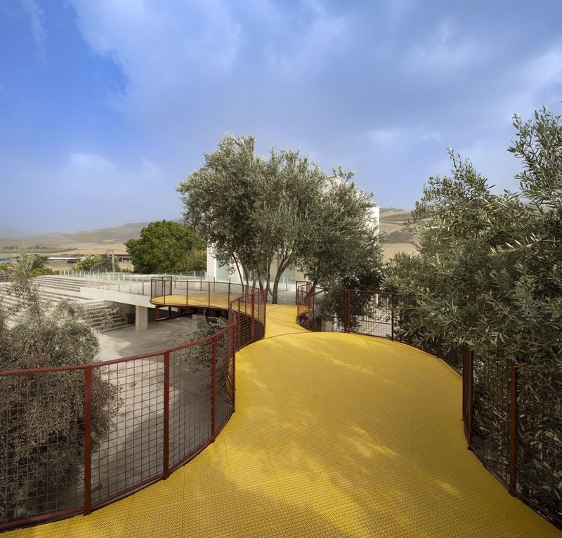 Snaking yellow walkway with red mesh fencing curving around mature olive trees in rolling landscape