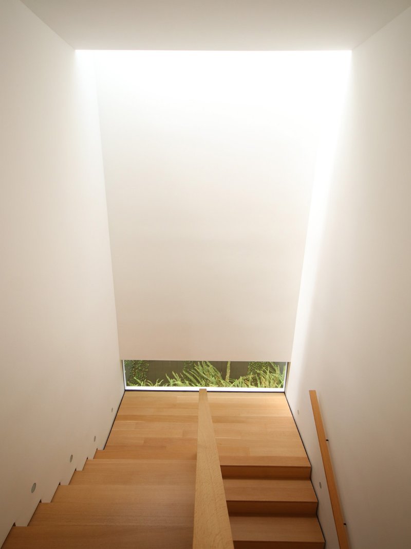 Top-down view of timber staircase beneath a skylight with garden glimpsed through window