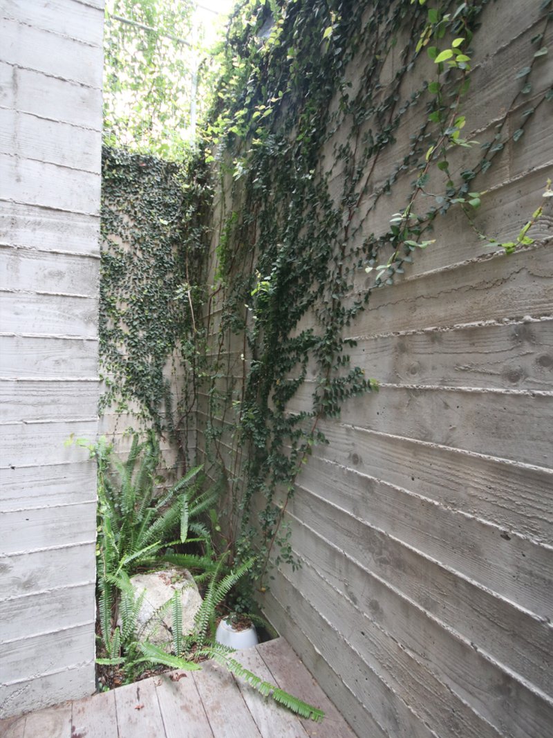Narrow outdoor passage between board-formed concrete walls with climbing ivy and ferns