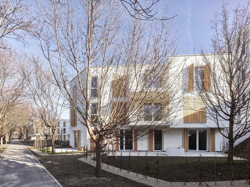 White corner building with timber shutters framed by pollarded trees in winter