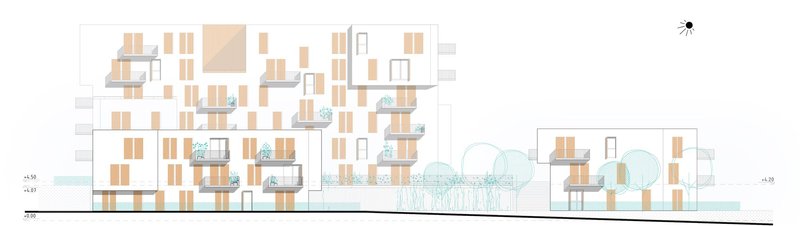 Section drawing showing the staggered balconies with timber screening across the multistorey residential blocks