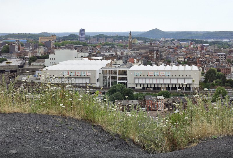 Distant view of the undulating white roofline rising above the urban fabric with wildflowers in foreground
