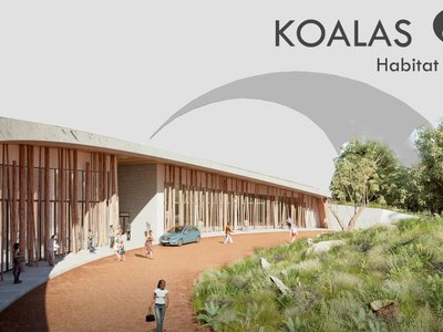 Koalas Claw: A Biophilic Architecture Proposal for Wildlife Rehabilitation and Ecological Harmony